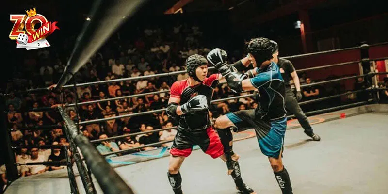 Giới thiệu về cá cược boxing online